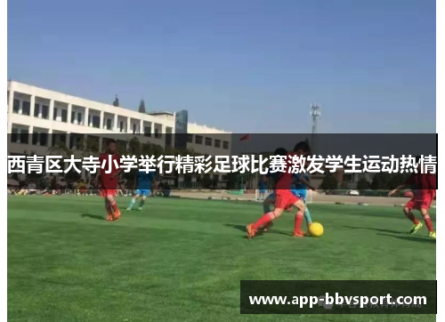 西青区大寺小学举行精彩足球比赛激发学生运动热情